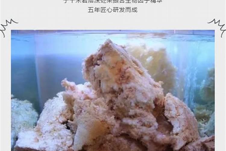 石太岁水的副作用