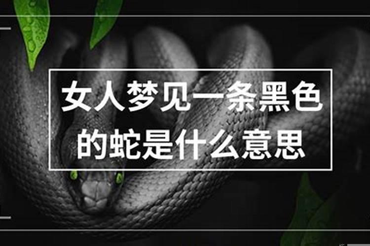 梦见一条蛇是什么意思