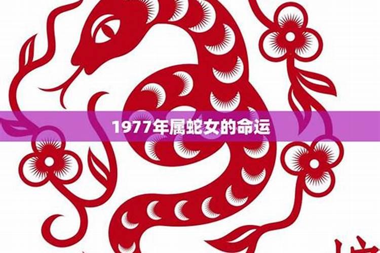 1977属蛇早晨五点出生女运程