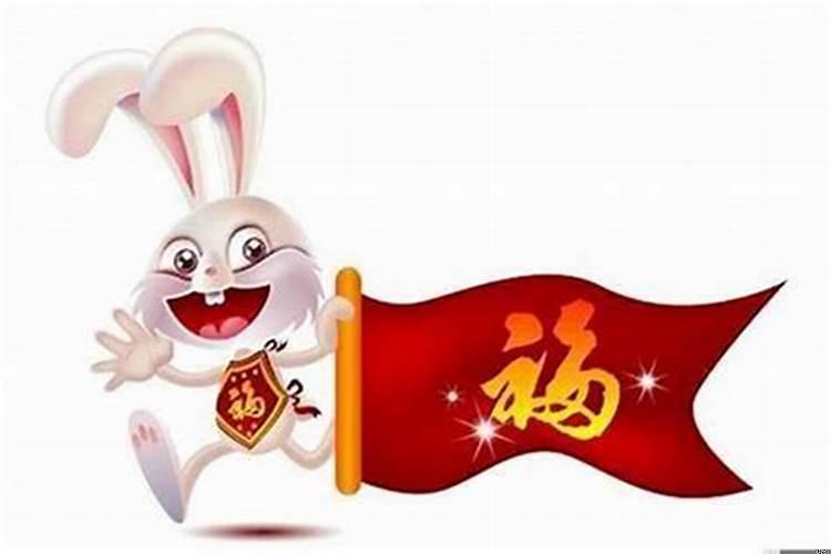 属兔的今年能发财吗