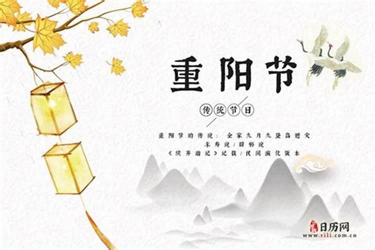 白衣镇今年重阳节在哪