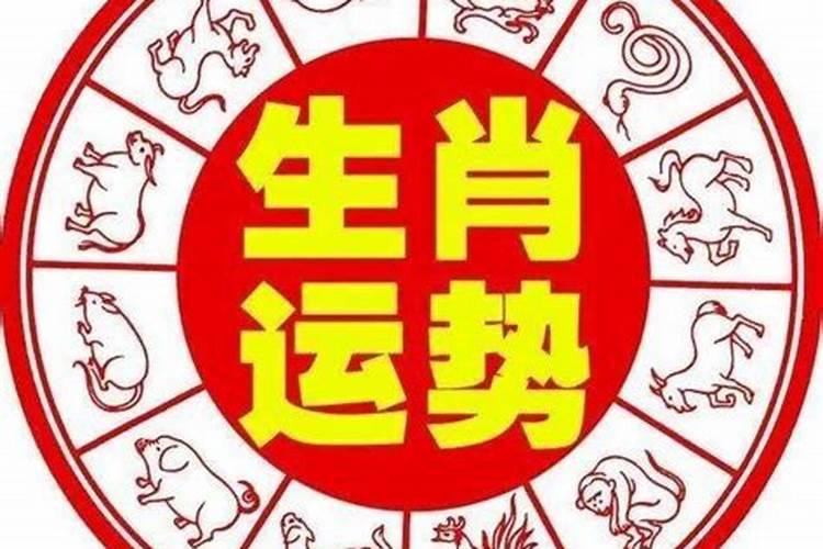 怎样判断你是什么生肖