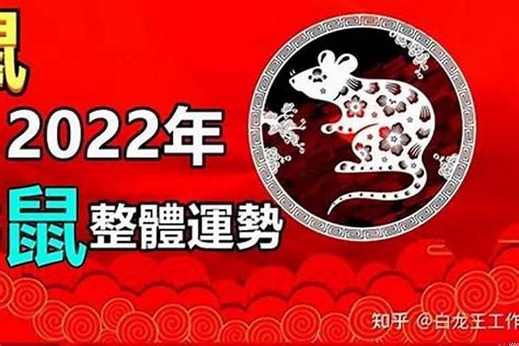 96鼠男今年下半年运势