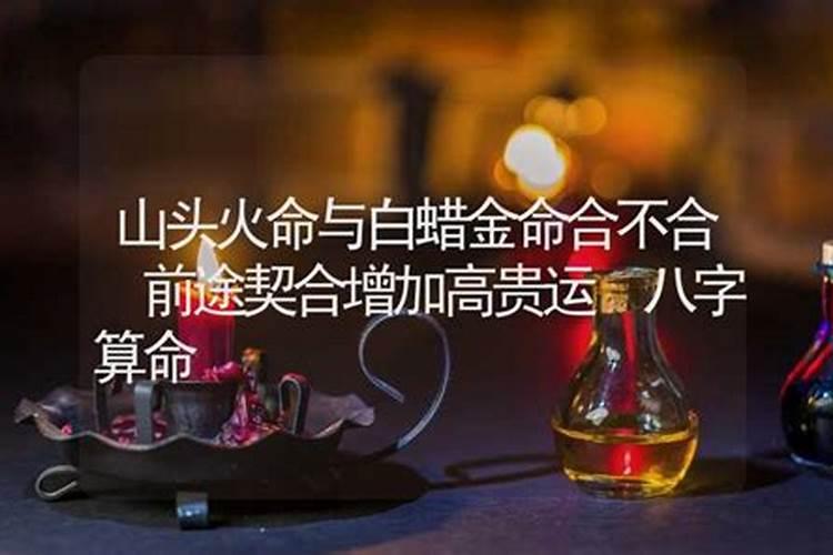 山头火命与金命合不合