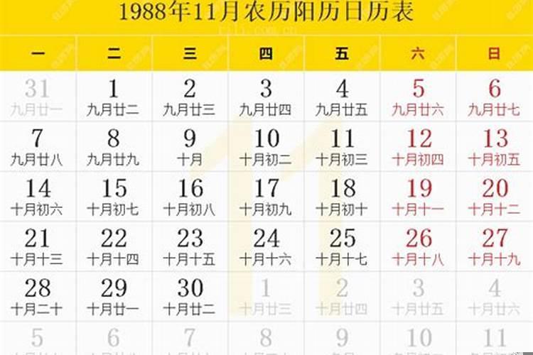 1988年阴历11月29今年运势