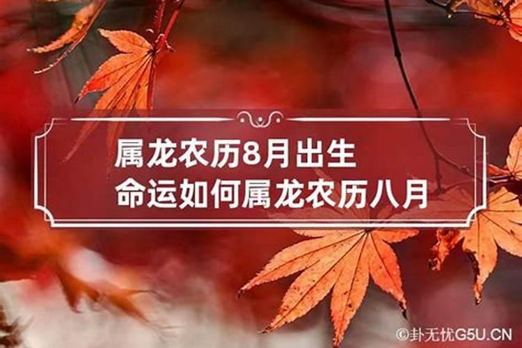 属龙出生农历8月运势