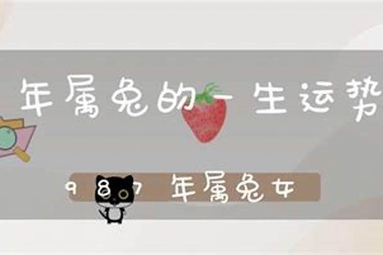 生肖兔87的一生运势