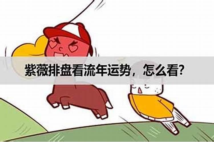 怎么看流年支运势