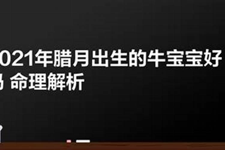 腊月立春后出生的羊