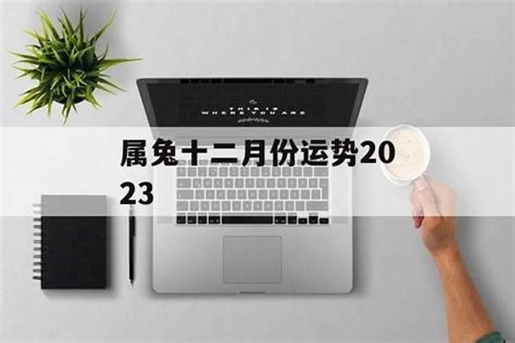 属兔的12月运程怎么样