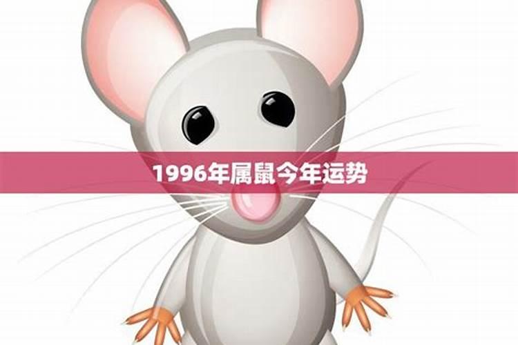 1996年男属鼠今年运势如何