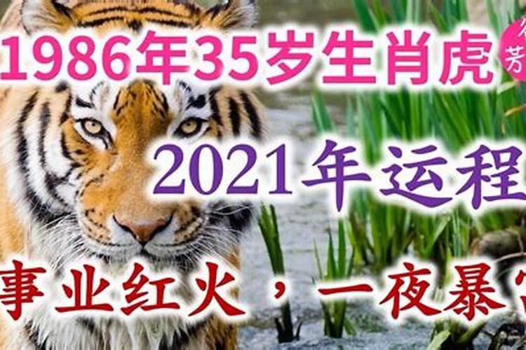 86年11月的虎今年运势