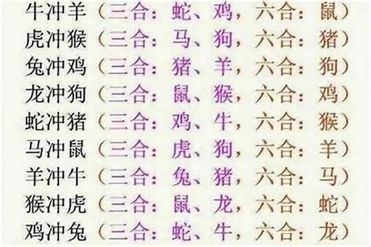 羊狗生肖不合八字合