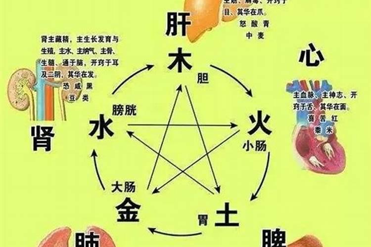 五行缺金肺气不足