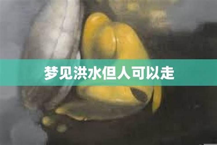 梦见大水漫了路无法通过绕路而行