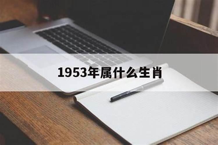 1953年属什么生肖年