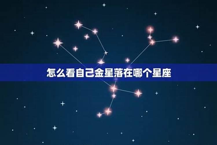 金星落在摩羯座