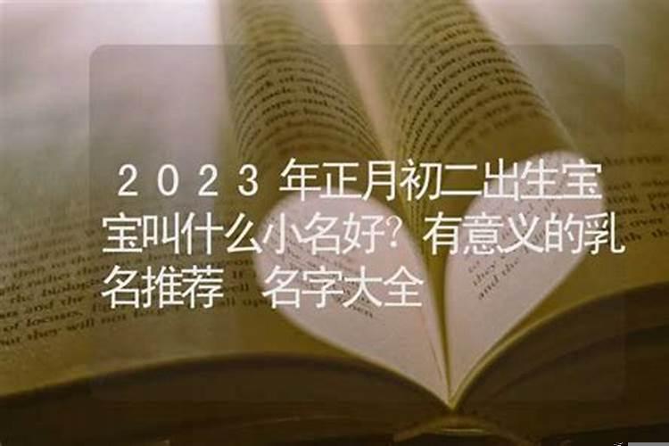 2023正月初二亥时出生