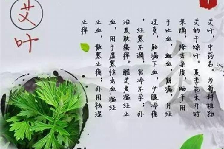 端午节艾灸哪里好