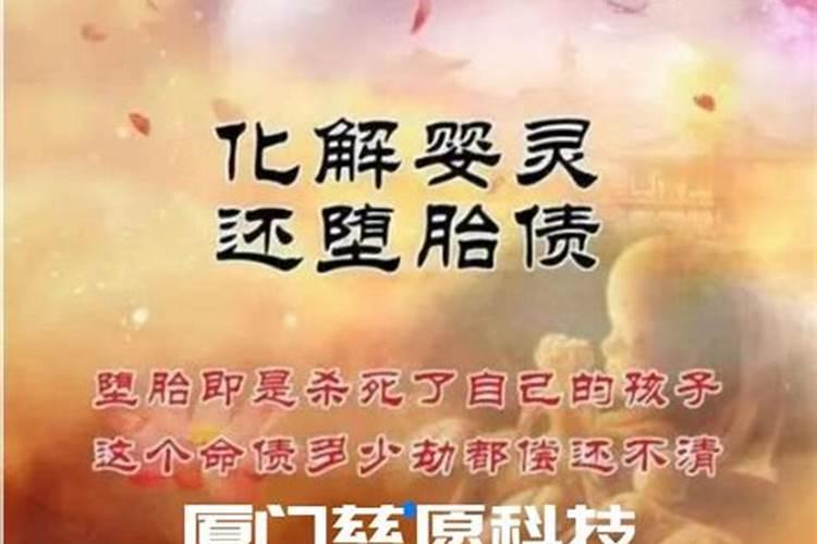 属猪的今年是否犯太岁呢