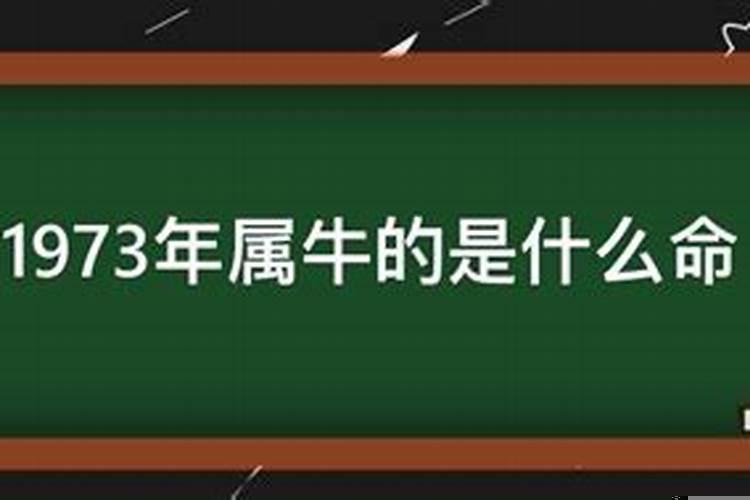 1973年出生47岁运势好不