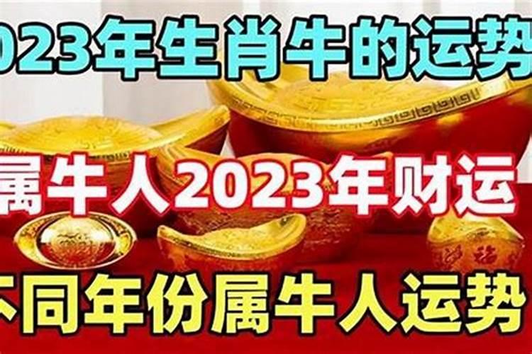 牛人运程2023年运势