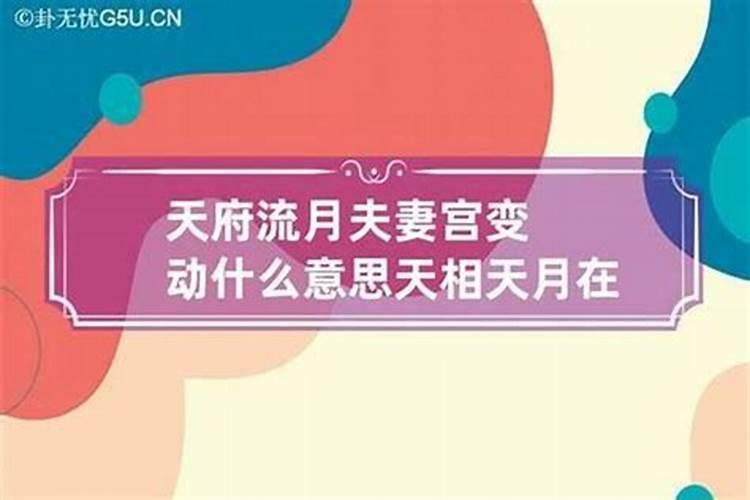 夫妻宫天府是什么意思