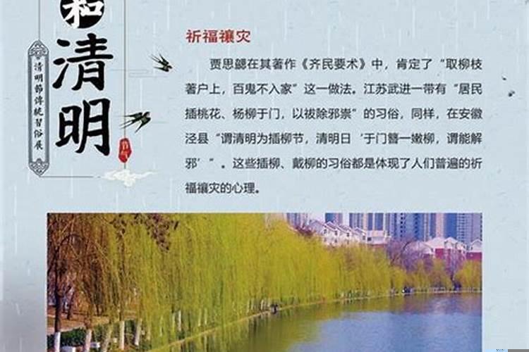 清明节有哪些民俗活动