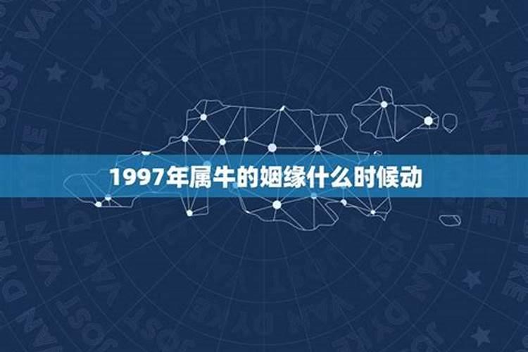 1997年感情运势如何