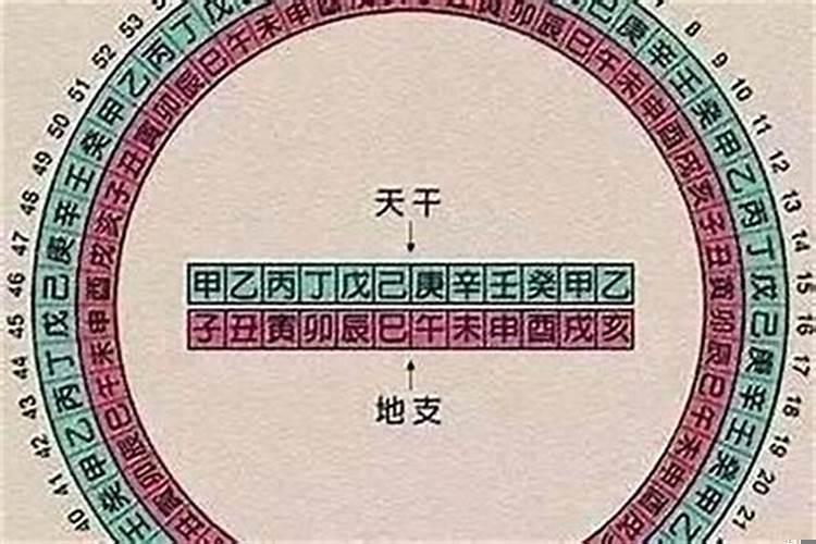 八字中的金舆是什么意思