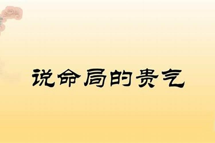 八字贵合什么意思