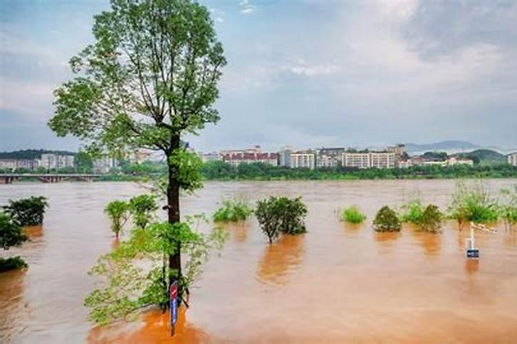 梦见大山大水是什么意思