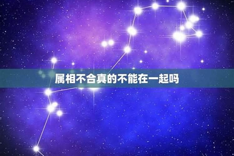 星座不合但是属相合