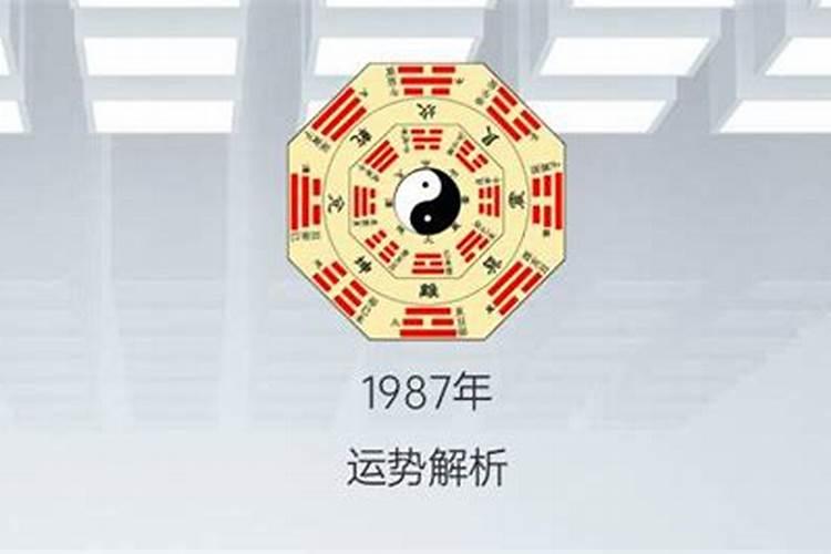 1987年正月出生的运势