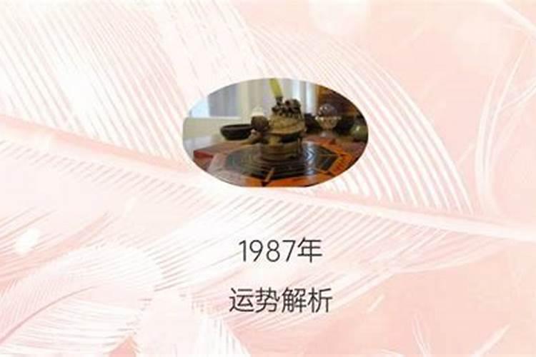 1987年正月出生的运势