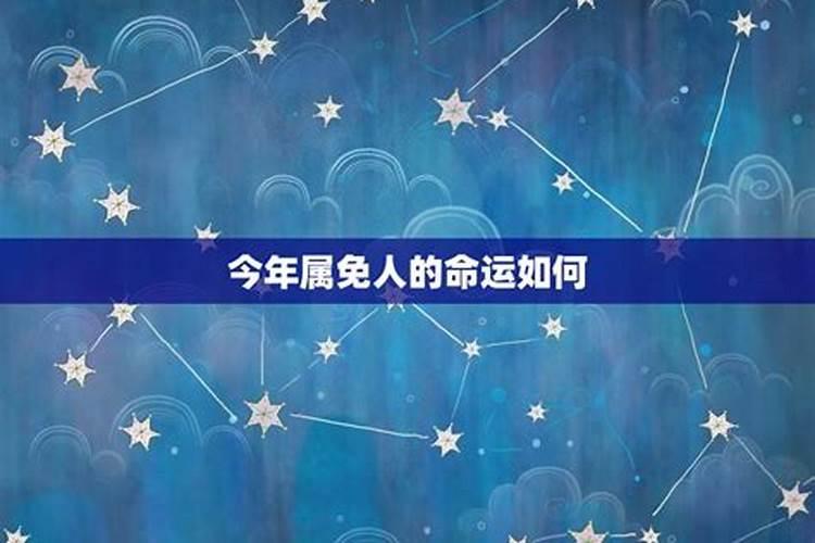 63年属免人今年运势