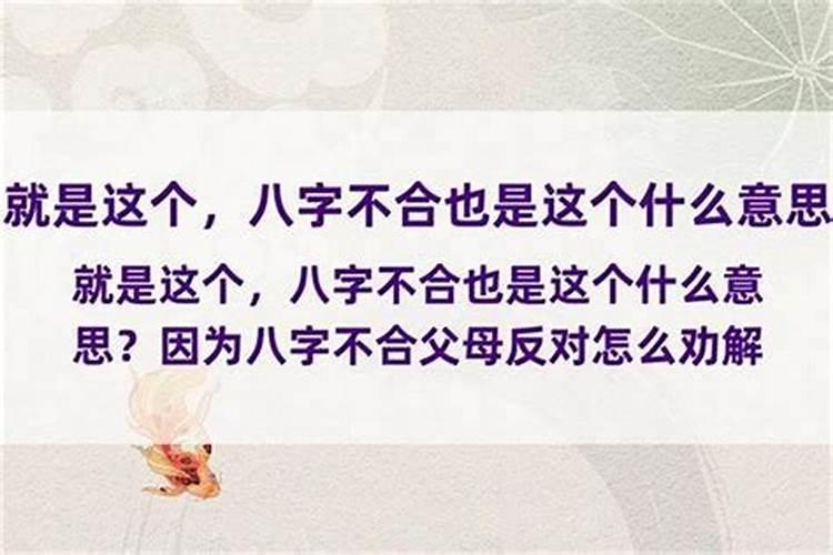 八字不合会累及父母嘛