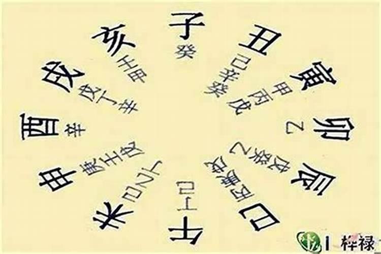 八字排盘藏干是什么意思