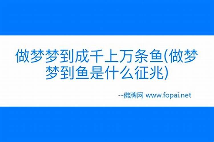 做梦梦到鱼什么意思周公解梦