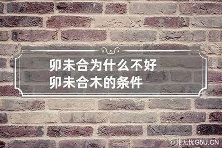 八字未申合变了什么