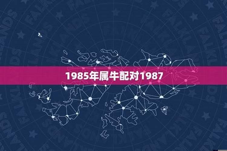 1985年属牛与1987属兔