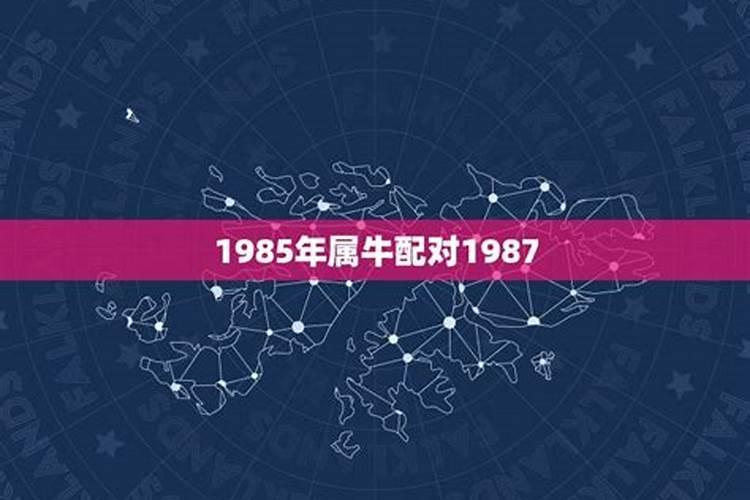 1985年属牛与1987属兔