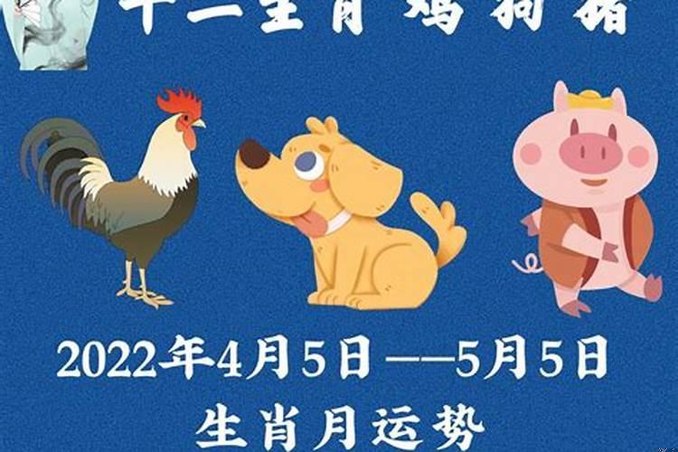 生肖猴2023年运势大全财位