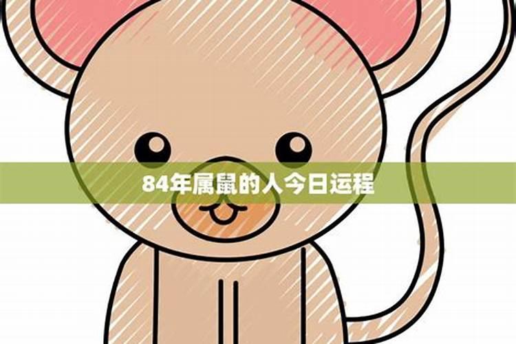 84属鼠人一生运势