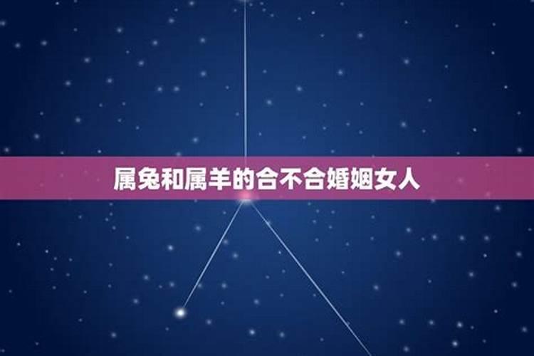 生肖星座不合婚姻会克妻吗