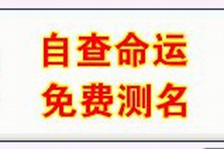 梦见妻子被单车车撞了什么意思