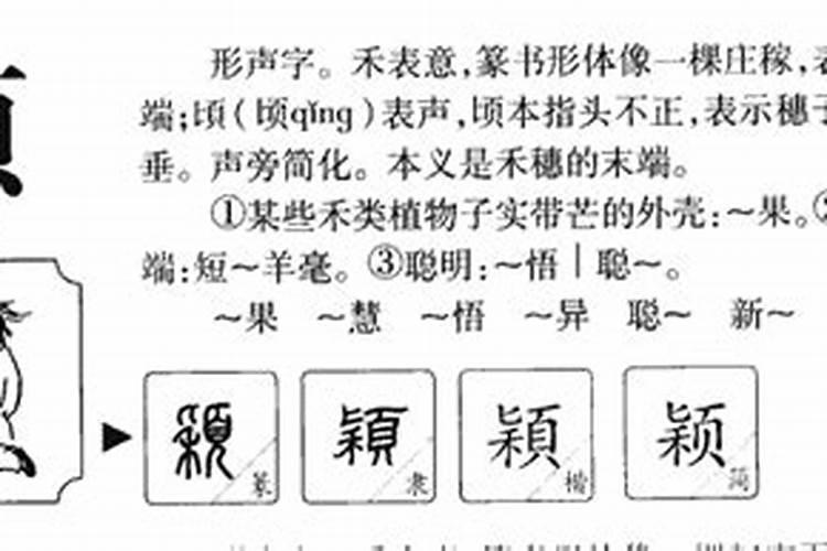 颖字五行属什么