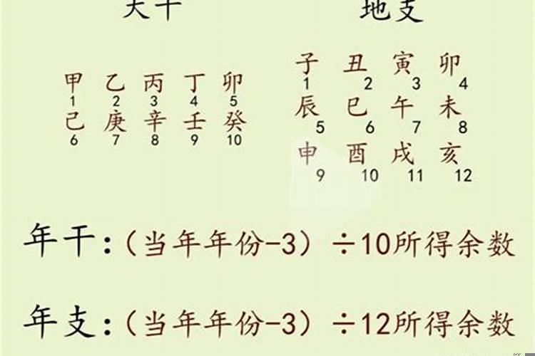 怎么看八字地支