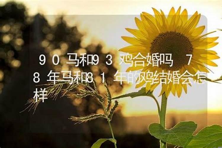 87年免和93年鸡合婚吗