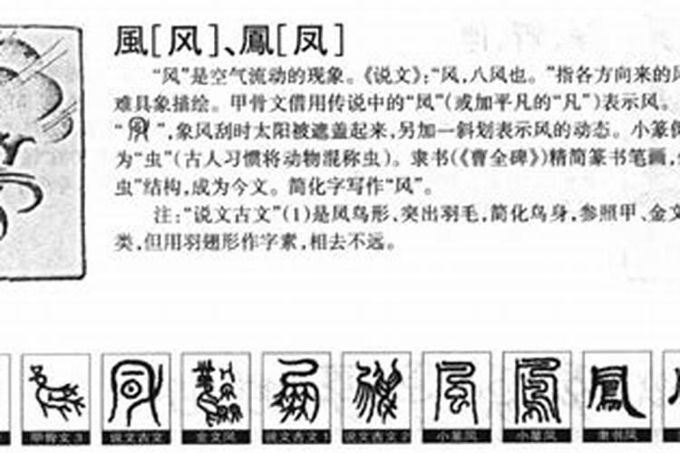 风字五行属什么及解释